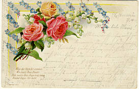Rosen und weitere Blumen auf alter Ansichtskarte - 1906 verschickt