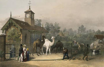 Zoo in London im Jahr 1835